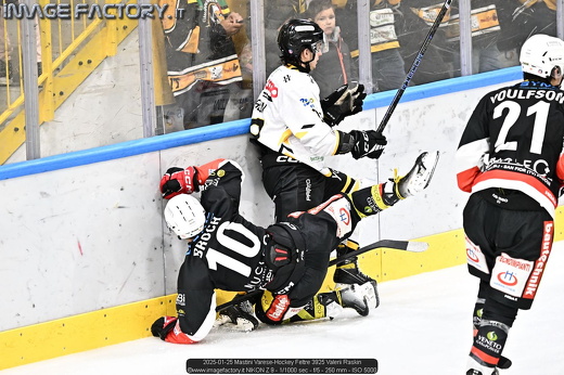 2025-01-25 Mastini Varese-Hockey Feltre 3925 Valerii Raskin
